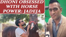 Ravindra Jadeja reveals desire of horse riding with MS Dhoni | Oneindia News