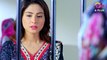 Kambakht-Tanno---Episode-156--A-Plus--Drama--Shabbir-Jaan-Tanvir-Jamal-Sadaf-Ashaan