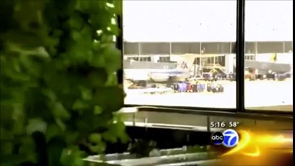 Vườn rau có hơn 1.000 cây giữa sân bay của Mỹ