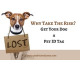 Pet Drivers License - Get Your Dog a Pet ID tag