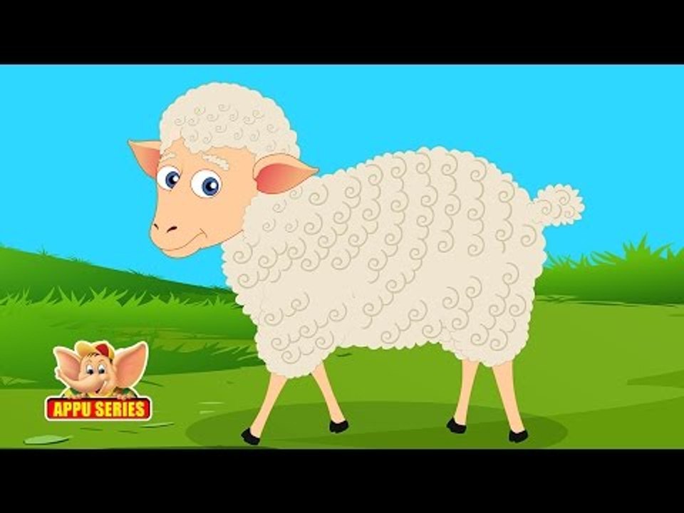 Sheep Rhymes for Children