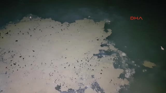 Sakarya Sapanca Gölü'ne Akan Dereye Araç Devrildi, Sızan Yakıt Temizlendi