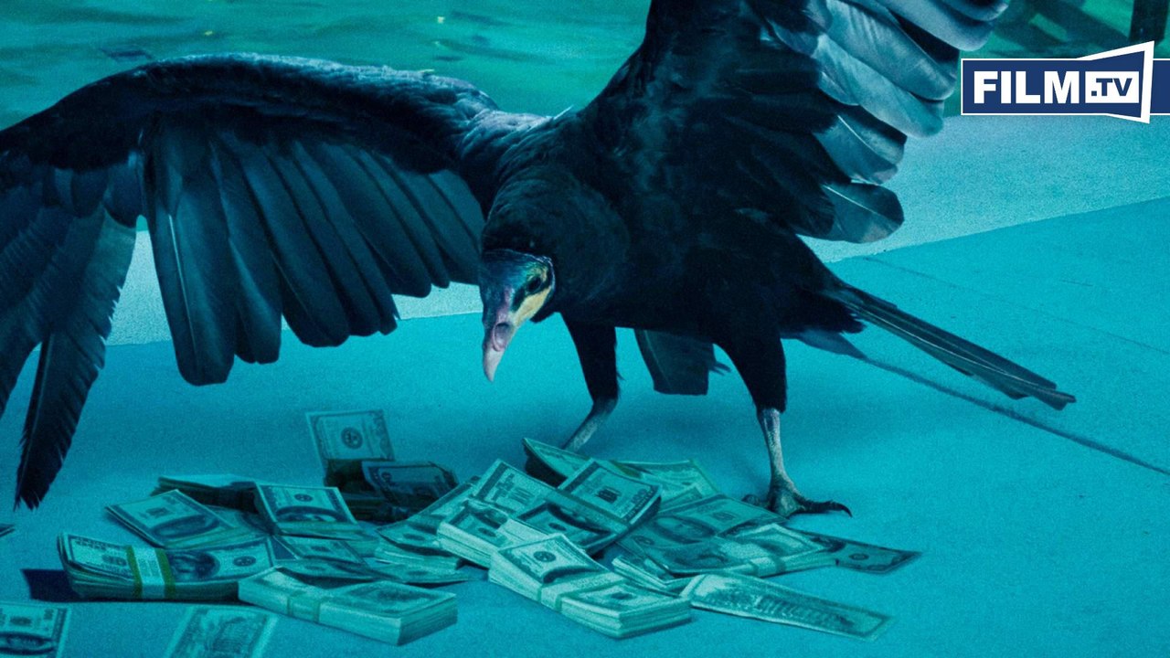 OZARK Trailer German Deutsch (2017) HD