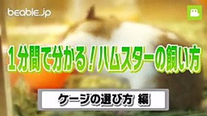 店橋憲一の動物シリーズ24