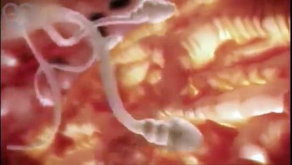 9 mois de grossesse en 4 minutes