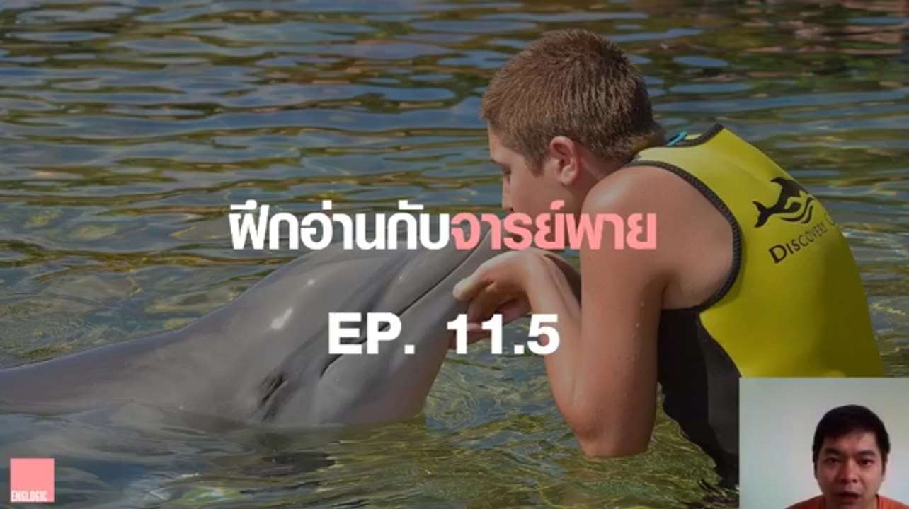 ฝึกอ่านกับจารย์พาย Ep.11.5 Dolphins