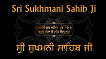 Visheshtayein Sukhmani Sahib Ji Ki 021