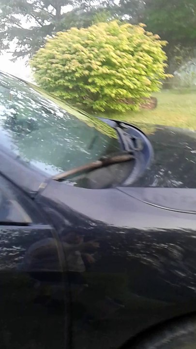 Dad Leaves