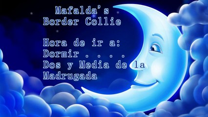Mafalda's Border Collie - Hora de ir a dormir y con ganas de Marcha