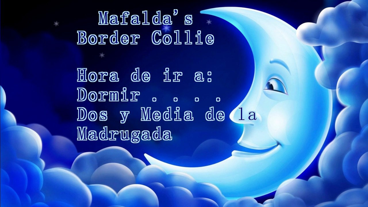 Mafalda's Border Collie - Hora de ir a dormir y con ganas de Marcha