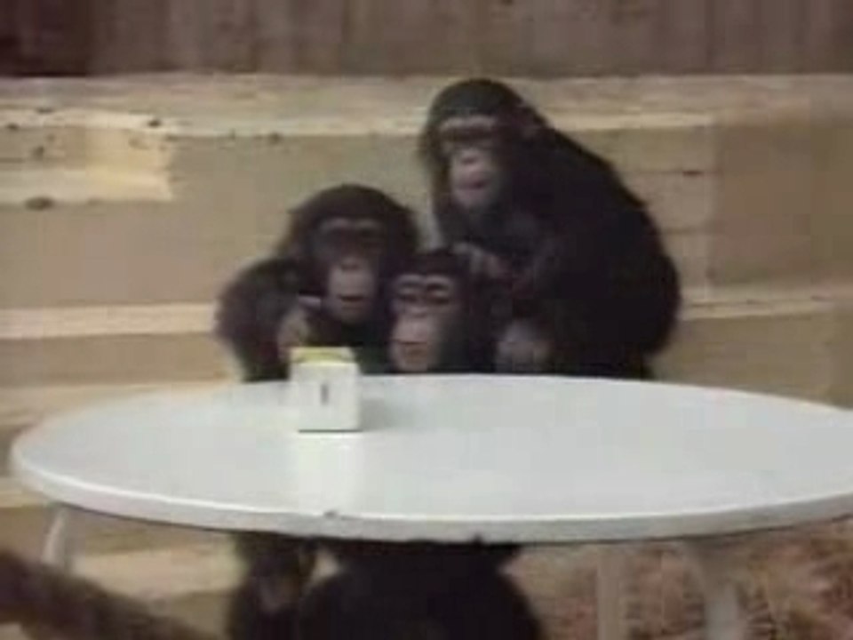 Le test des bananes