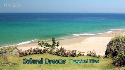 Natural Dreams - Tropical Blue (Best World Chillout Relax Musics HQ) Mu©o