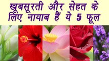 Flowers and its Health, Beauty Benefits | सेहत के लिए बहुत ही फायदेमंद यें फूल  | Boldsky