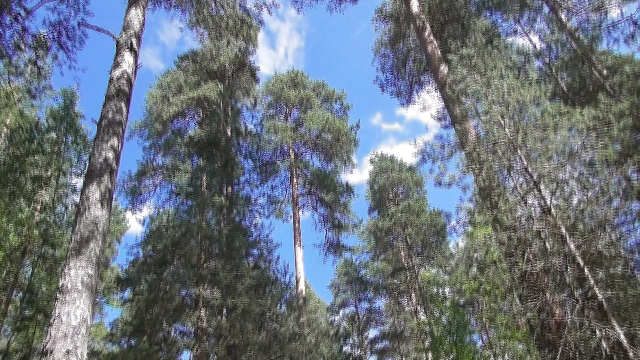 July 10 2017 1