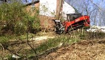 Tree Cutting & Tree Care and Tree Removal Service Maryland