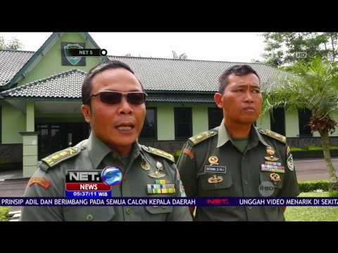 Dianggap Bertampang Ramah & Lucu, Patung Harimau di Koramil Cisewu Dibongkar - NET5