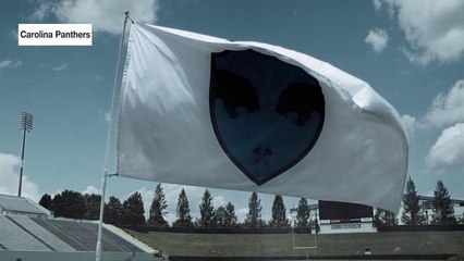 Wofford is Coming: Panthers are taking back the NFC South