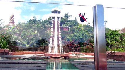 Shark Tank Water Slide, extremely fast 80 km/h