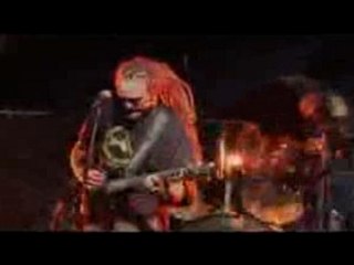 Troides Priamus Hecuba - Boulot!