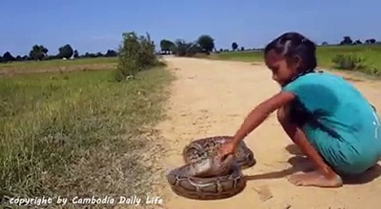 ช่วงนี้เพลงงูกำลังมาแรง เอ้า.จัดให้งูจากเขมรของจริง