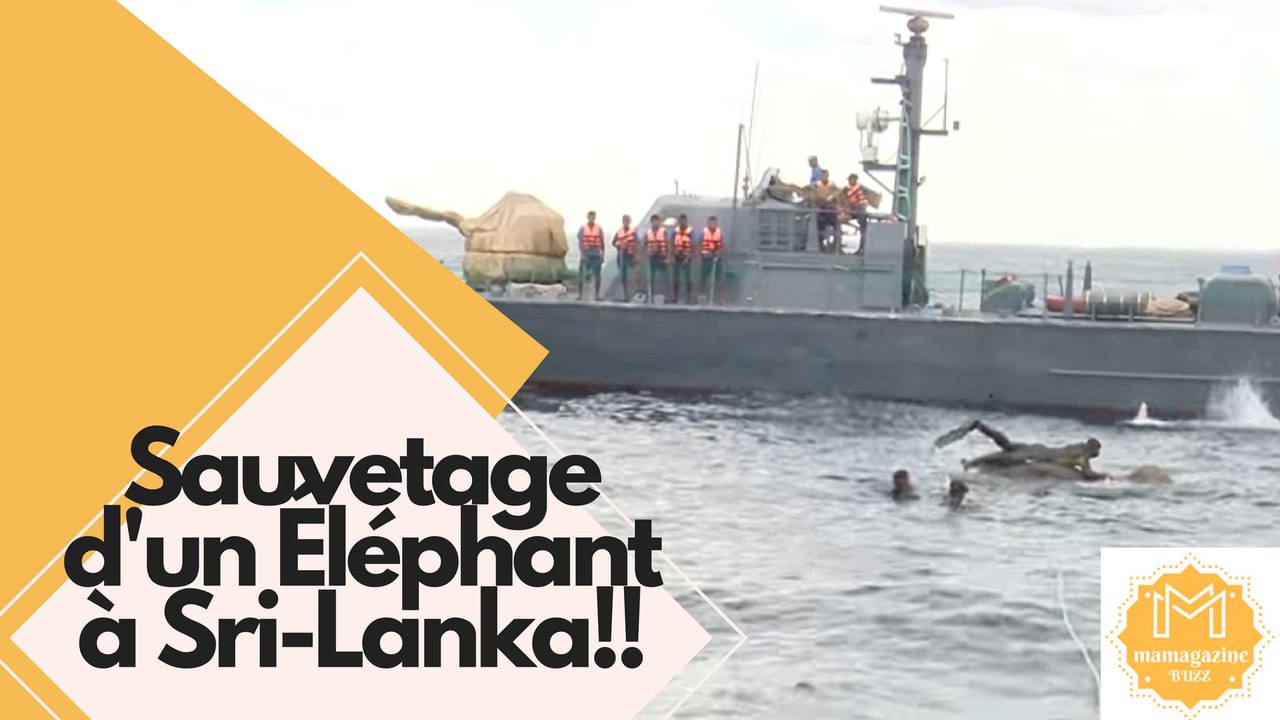 Sauvetage d'un Éléphant à Sri-Lanka!!
