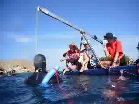 constant weight no fins -83m by Herbert Nitsch