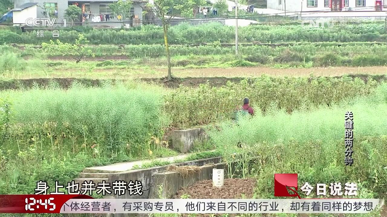 《今日说法》 20170714 关键的两分钟
