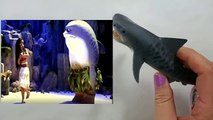 Disney Moana Movie Maui Doll Shark Tail Custom | Evies Toy House