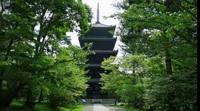 PBS NATURE The Mystery of Eels