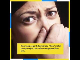 Tips Mudah Nak Pilih Ikan Segar Di Pasar