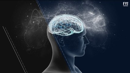 Memórias afetam o cérebro antes de tomada de decisão