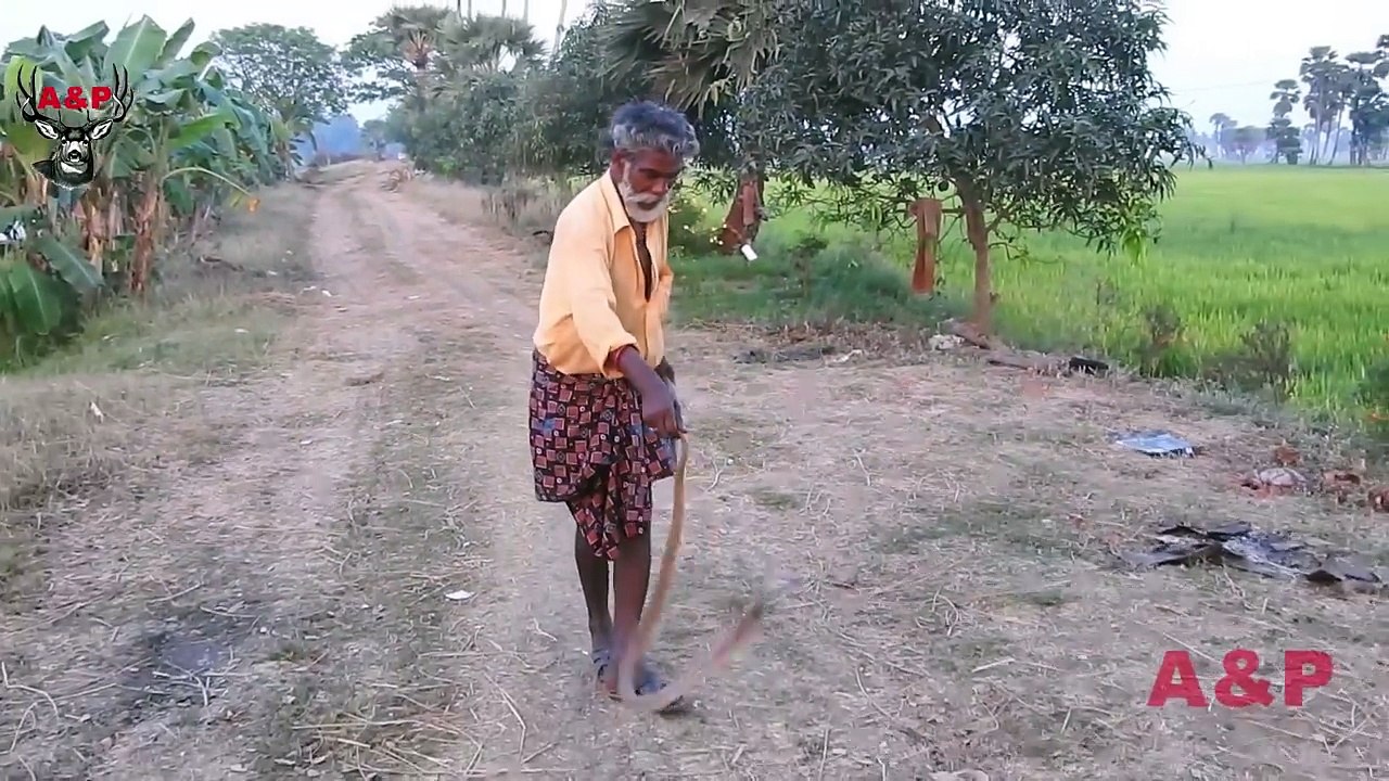 King Cobra pearl _ Cobra Stone Nagamani _ King Cobra Snake pearl _ Nagamani Ston