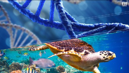 Estudo da vida marinha através de resíduos de DNA