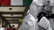 Novo surto de gripe aviária no México