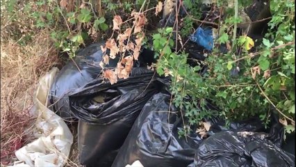 Kapen mbi 15 ton kanabis në Vlorë dhe Kavajë