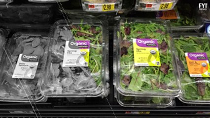 Morcego encontrado em salada vendida no Walmart