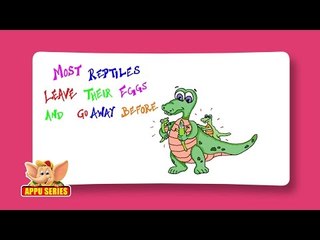 Fun Facts About Reptiles