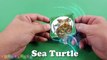 Learn Sea Animals NEW | Disney Pixar Finding Dory, Nemo Cartoon For Kids - HandPlayTV for