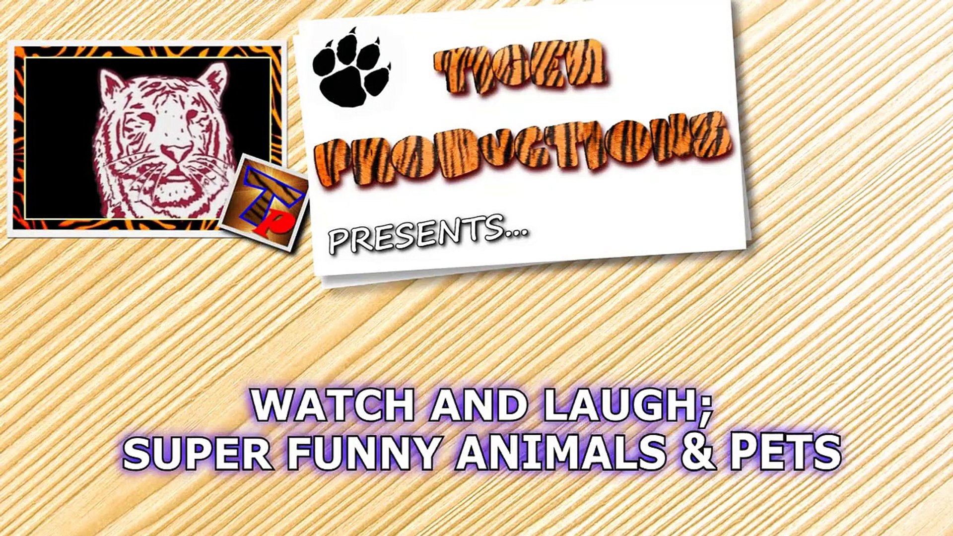 watch laugh super funny animals and pets funny animal compilation.