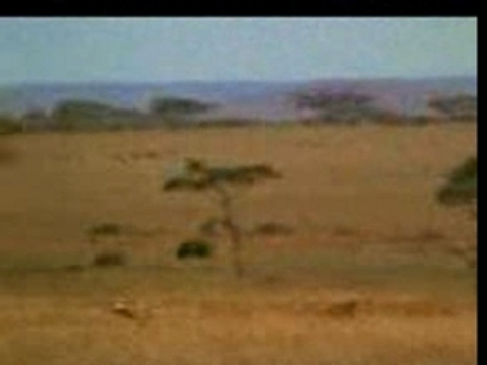 Wa ta riyahe