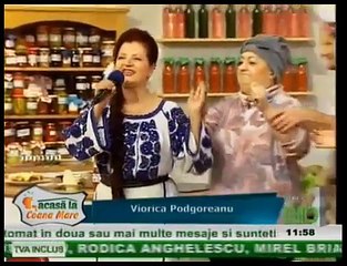Viorica Podgoreanu - Hai sa ne petrecem (Acasa la Coana Mare - ETNO TV - 02.11.2013)