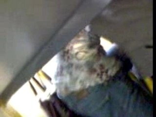 Clairette sous le bureau...