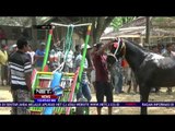 Balapan Benhur, Alat Tranportasi Tradisional Bima Dompu - NET12