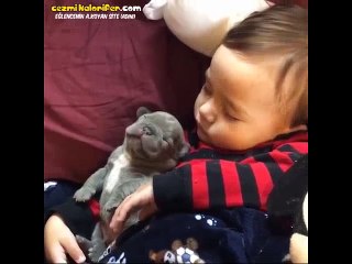 Kardeş Kardeşe Uyuyan Ufaklıklar