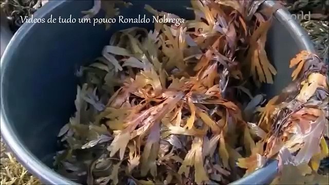 Irlanda com James Nesbitt Ep 1: Discovery World HD