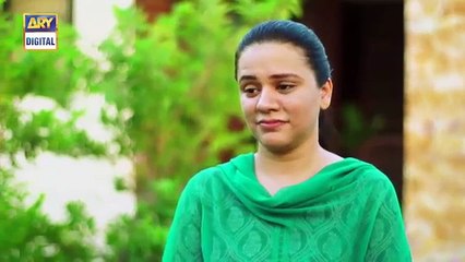 Mein Mehru Hoon Ep 214 - 14th July 2017 - ARY Digital Drama