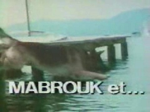 1985 30_millions_d'amis