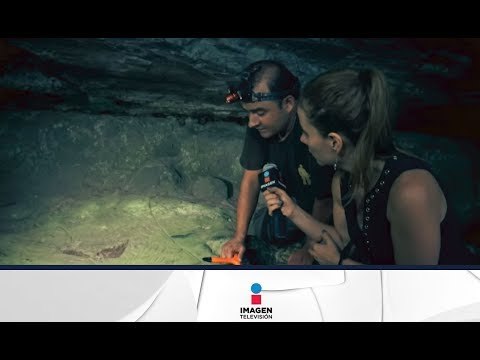 Mensajes extraterrestres en México (PARTE 2) | Imagen Noticias con Francisco Zea