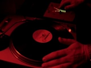 Doctor Bee en mode funky session