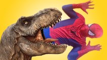 Giant T-REX Dinosaur attacks Frozen Elsa and Anna w/ Spiderman vs Hulk | Funny Superhero IRL Video